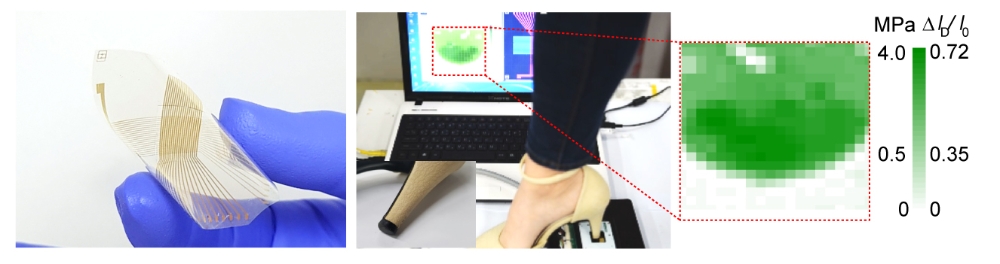 국내 연구진, 세포 움직임까지 포착하는 3D 촉각 인식장치 개발