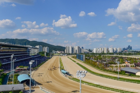 서울경마공원 전경. 사진=마사회