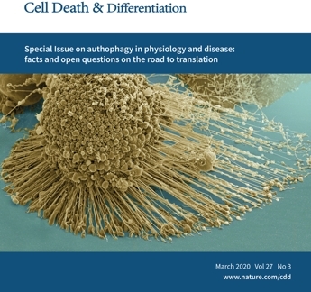 하엘, 세계 최초로 ‘단백질 발현과 암발생’ 새로운 사실 규명