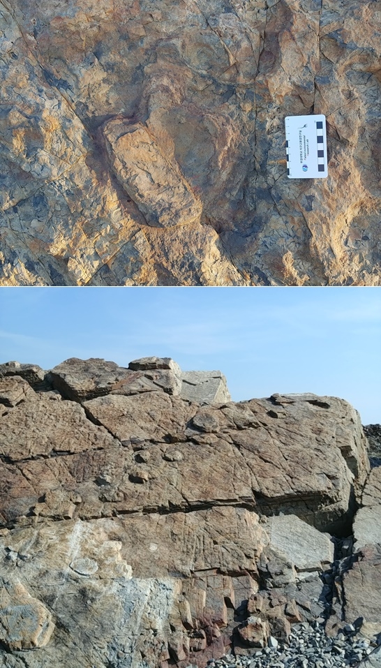 기장군 일광면 신평소공원 공룡발자국화석.(사진제공=부산기장군)