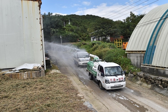 양돈농가에 대해 매일 소독을 실시하고 있다.(사진제공=부산시)