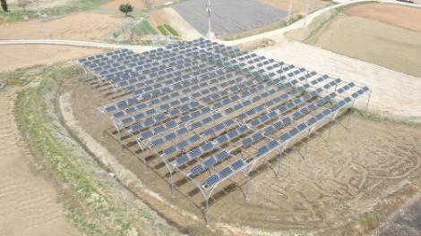 동서발전, 파주시 영농형 태양광 종합준공