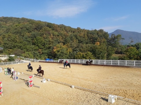 한국마사회, ‘고급 마장마술 향상과정’ 1차 교육생 모집