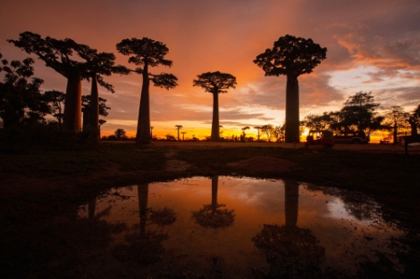 고려대 김한겸 교수, 아프리카 사진전 ‘노마드 인 아프리카 展’ 개최