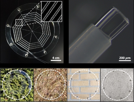 국내 연구진, 거미 행동 모사한 소프트 로봇 개발