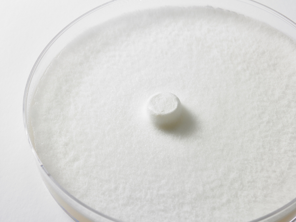 퓨젠바이오, 씨엘바이오에 특허권 침해금지 가처분 소송 승소