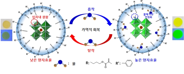 이번 연구에서 개발된 실록산 재료에 의해 캡슐화된 페로브스카이트 나노 입자 복합체의 개념도 및 사진. 물에 의해 가역적으로 회복되는 모습을 보여준다. 사진=KAIST