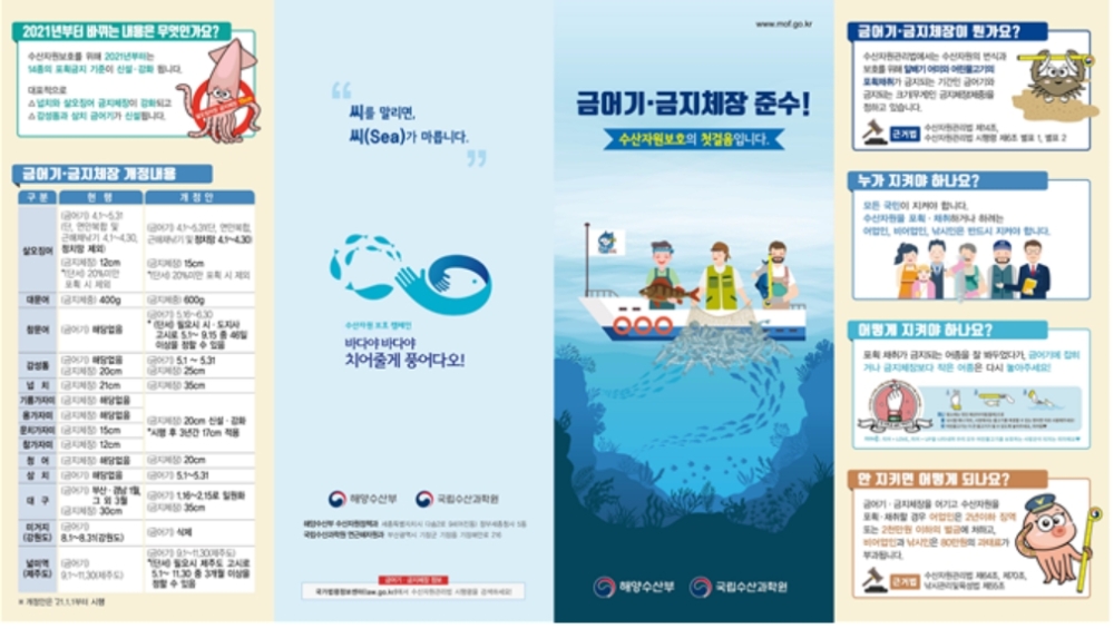 어린 물고기는 키워주고, 어미 물고기는 지켜주세요!