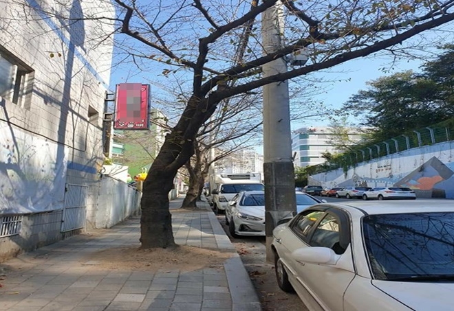 부산의 한 보행자길.(제공=김미애의원실)