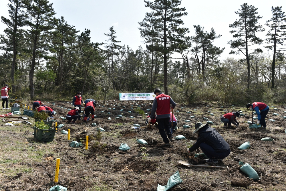 나무심기 행사(사진=산림청)