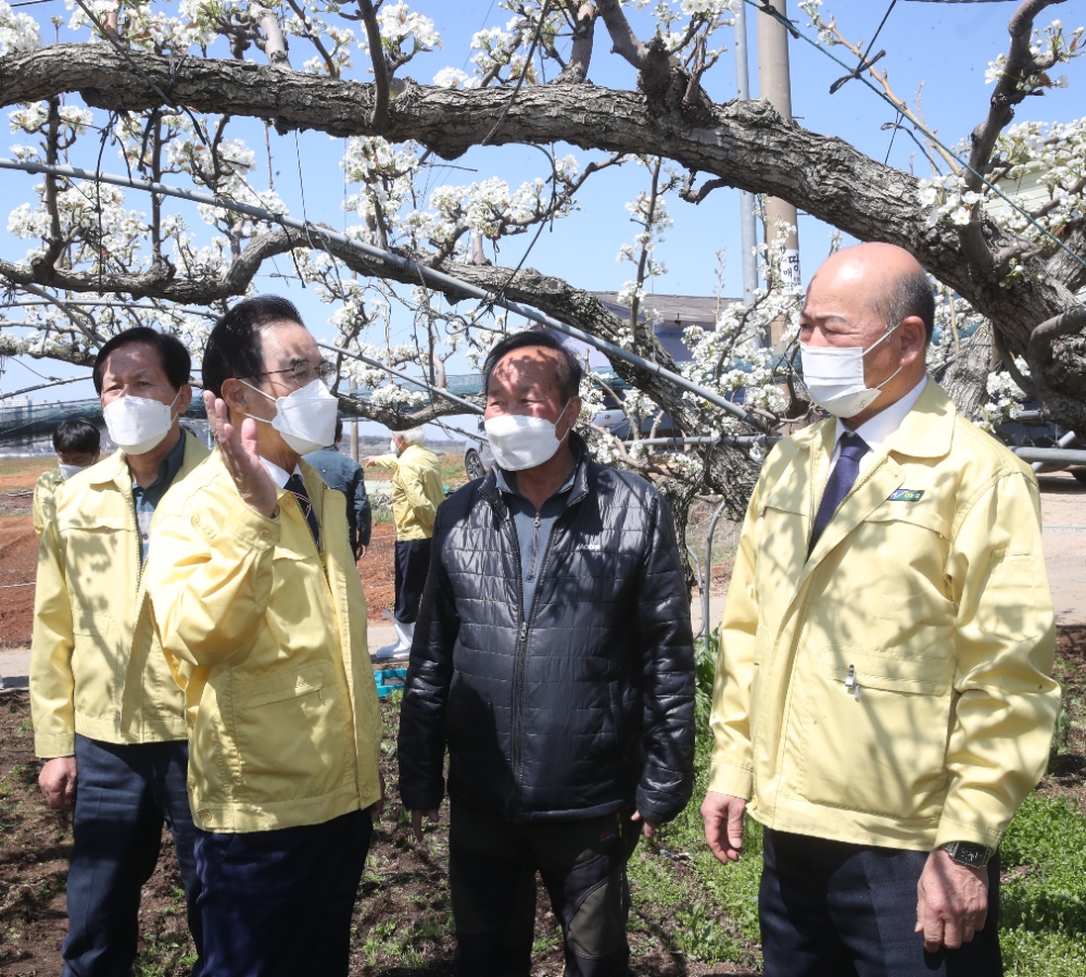 이성희 농협중앙회장, 과수화상병 및 저온피해 예방 당부