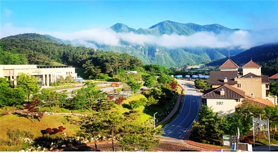 SM그룹 탑스텐동강시스타 ‘영월지역상품권’ 구매·지역경제 지원