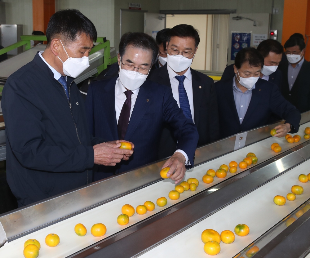 이성희 농협중앙회장, 제주 지역 농업·농촌 현장 찾아