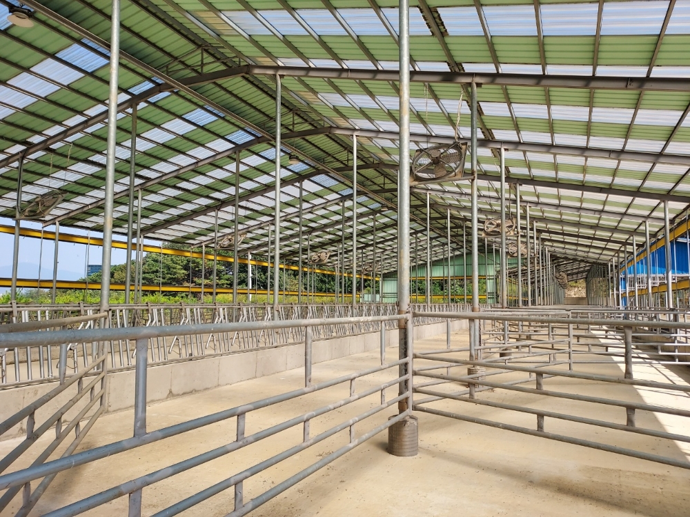 현대화 시설로 잘 지어진 축사 내부