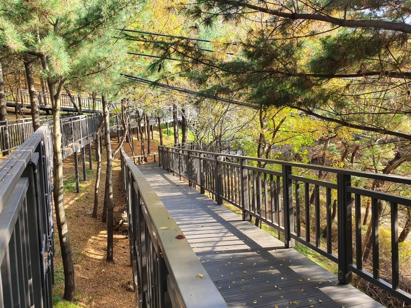 금천구, 무장애 데크길 3대 명소 개통