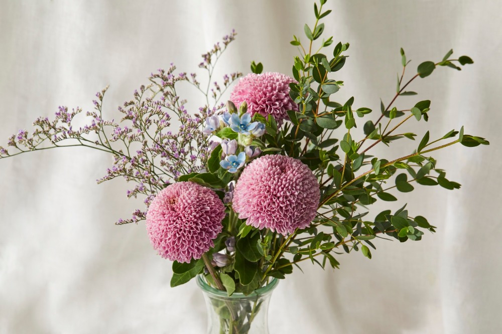 마켓컬리, 화훼농가 새 판로 개척에 앞장