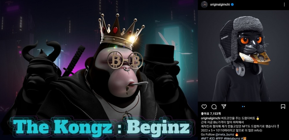 멋쟁이 사자처럼 이두희 대표의 NFT 프로젝트 메타콩즈 이미지(왼쪽)와 슈퍼비의 메타범즈 에어드랍 안내 이미지. 사진=메타콩즈 홈페이지 및 인스타그램 캡쳐