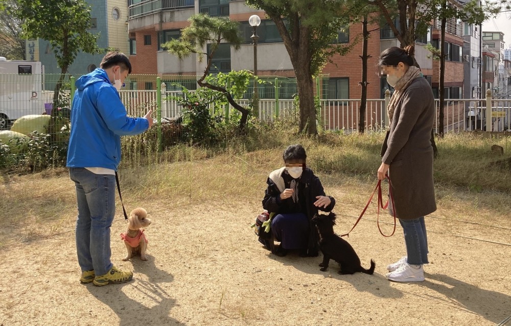 강서구, ‘반려동물 행동교정 사업’ 추진