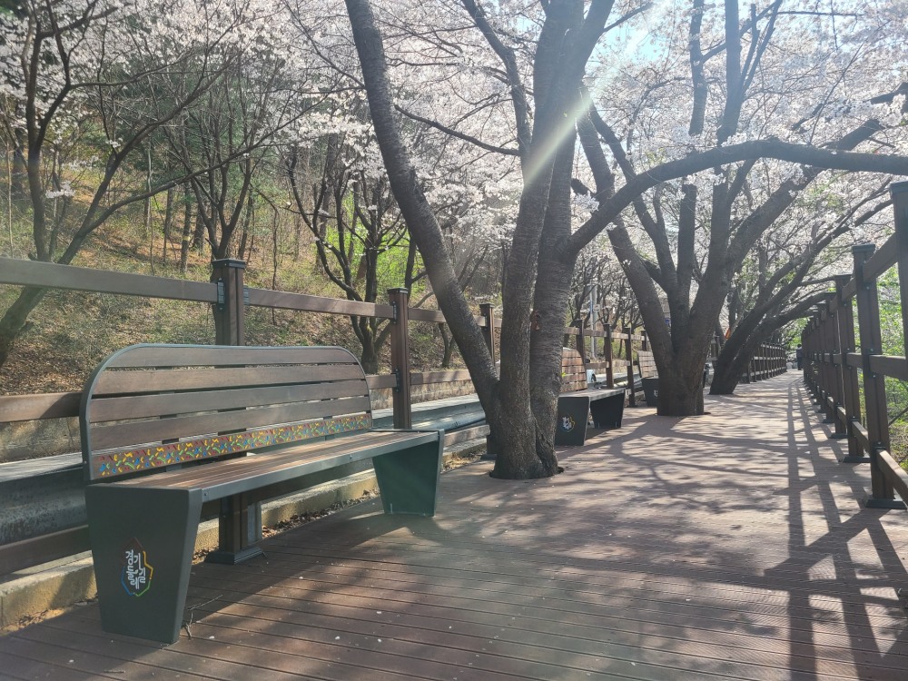 가평 23코스 삼회리 벚꽃길