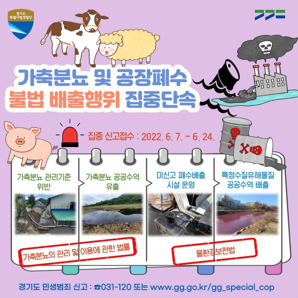 집중단속 안내포스터