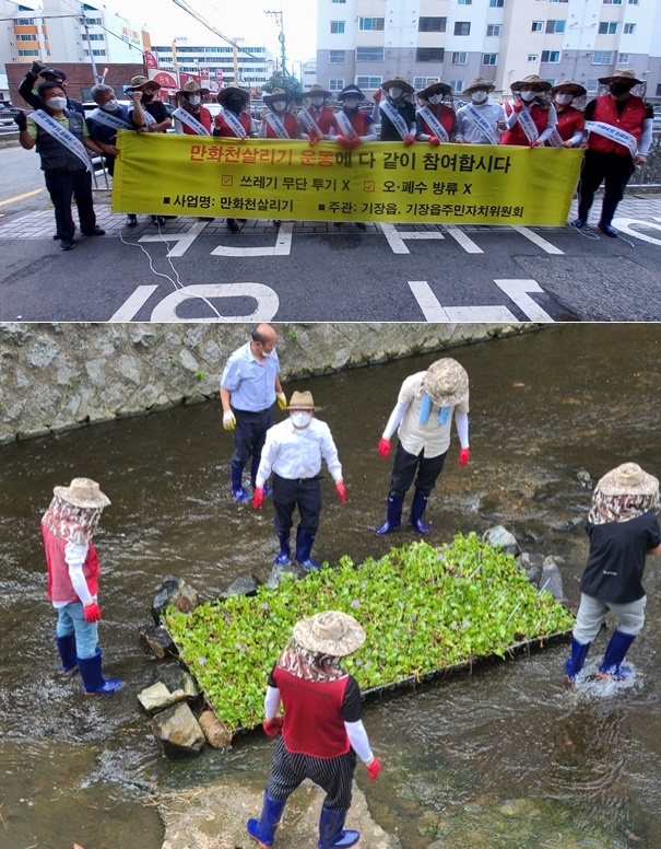 기장읍과 기장읍주민자치위원회가 지난 9일 만화천 살리기 캠페인을 마치고 기념촬영을 하고 있다./만화천 내 수질정화식물을 식재하고 있다.(사진제공=부산 기장군)
