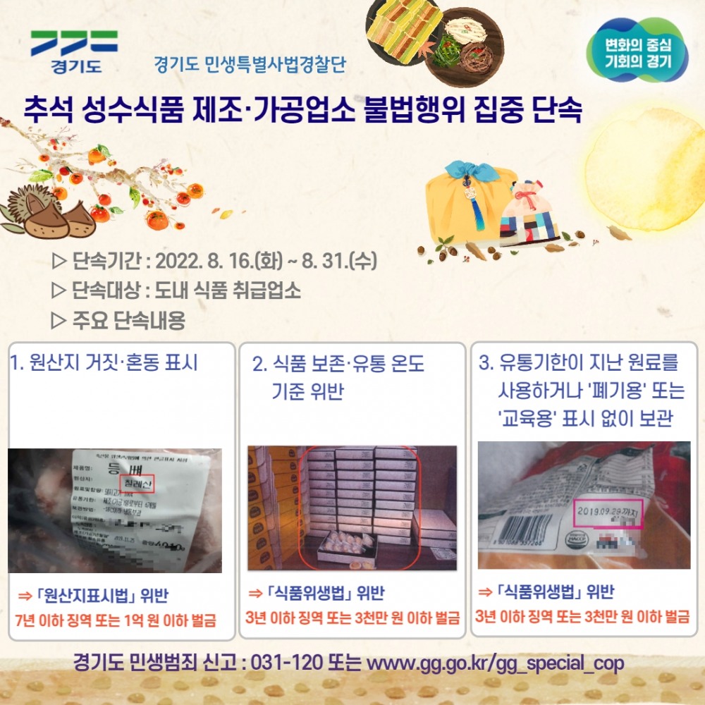 단속내용