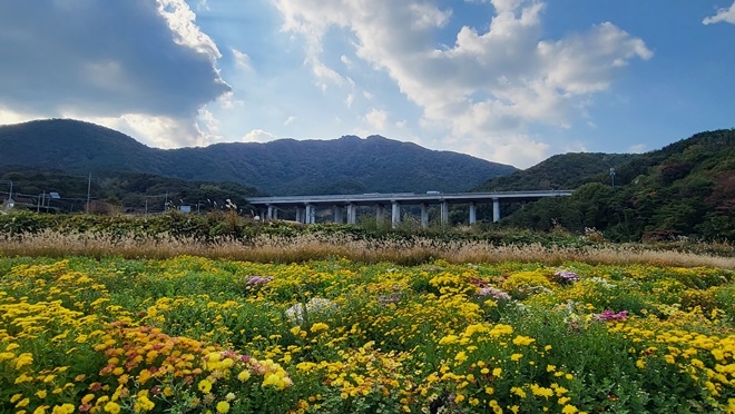 (사진제공=부산 기장군)