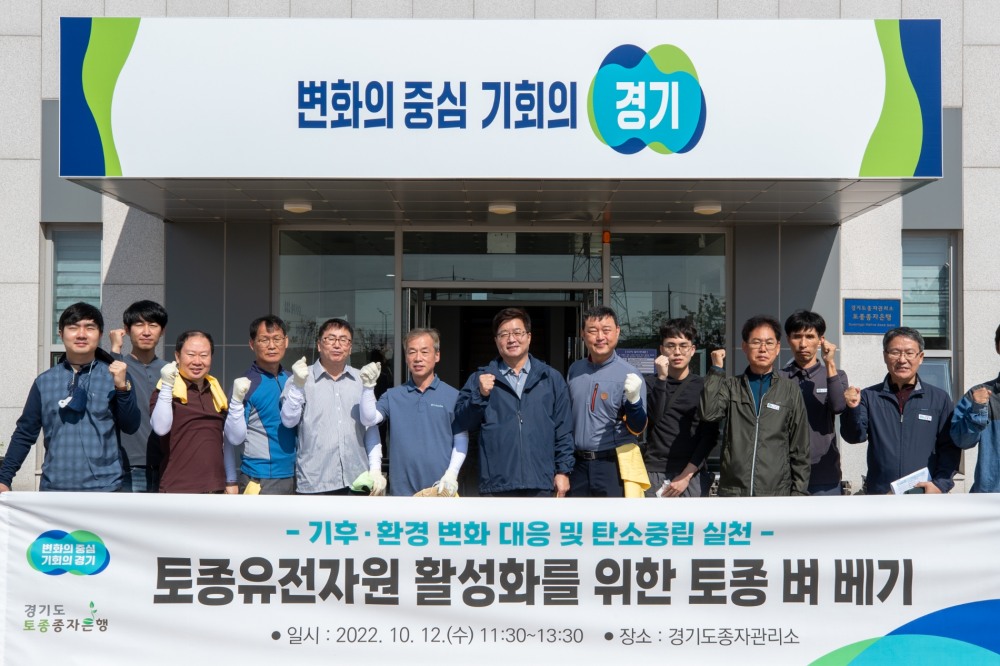 토종 벼 베기 행사