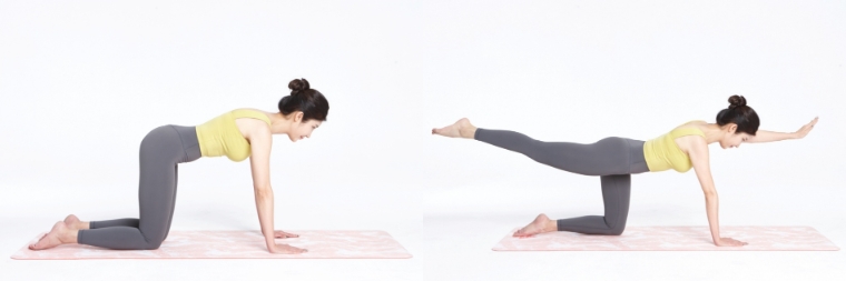 약해진 척추와 엉덩이 근육을 강화해 허리통증을 완화하는 ‘버드독 스트레칭’. 사진=자생한방병원