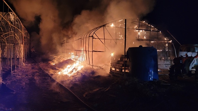 (사진제공=부산경찰청)