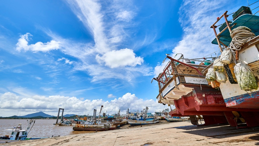 김포시 대명항_경기뉴스광장 김지호