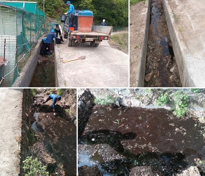 (사진제공=울산환경운동연합)