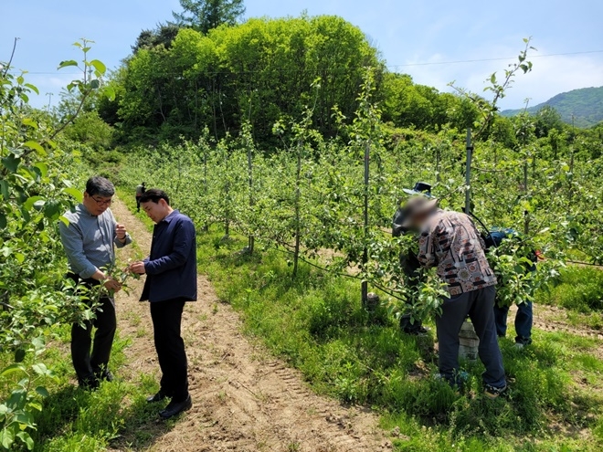 (사진제공=안동준법지원센터)