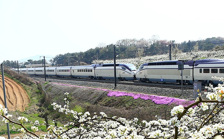 에스알, 현충일 징검다리 연휴 대비 SRT 공급좌석 확대