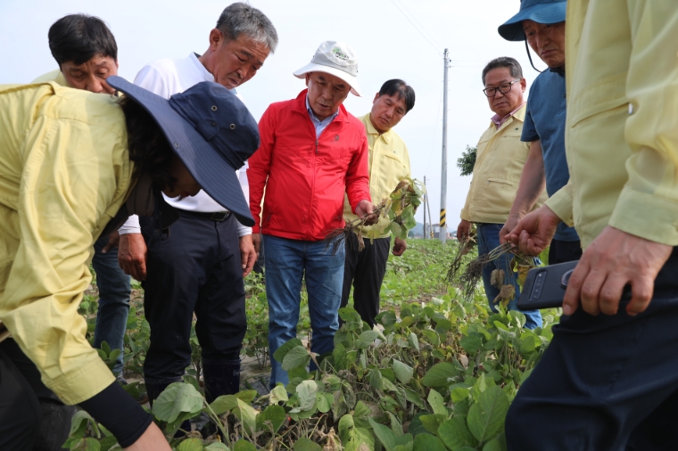 사진=박덕흠 정보위원장실 (국민의힘 박덕흠 의원이 호우로 인한 병충해 피해가 발생한 괴산군 불정면 농가를 찾아 실태를 살펴보고 있다. 2023.7.24)