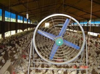 여름철 가축피해 예방 환풍시설