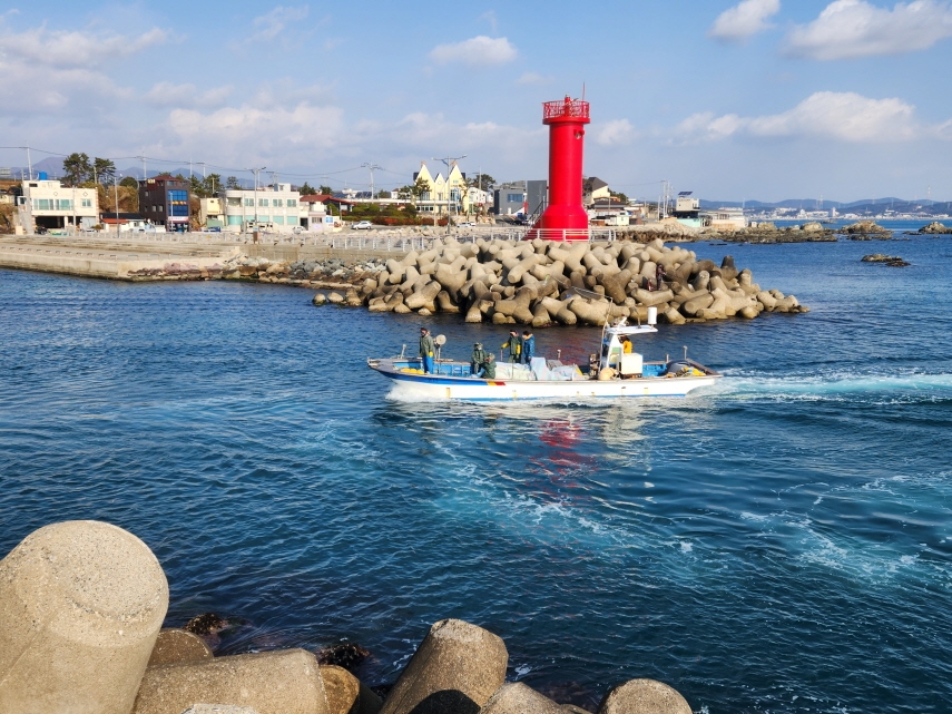 바다숲 조성 사업이 진행 중인 일광 동백리 해역 일원.(제공=부산 기장군)