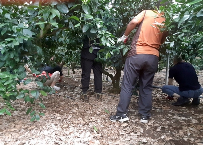 (사진제공=제주보호관찰소)