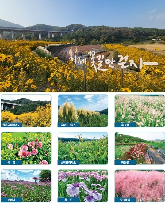 (제공=부산 기장군)