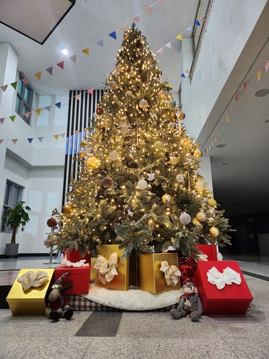 (사진제공=광주솔로몬로파크)