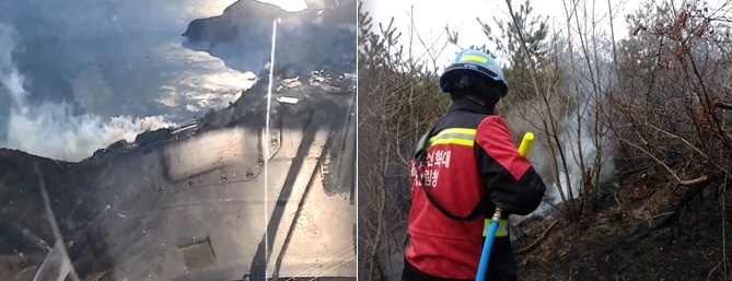 (사진제공=산림청)