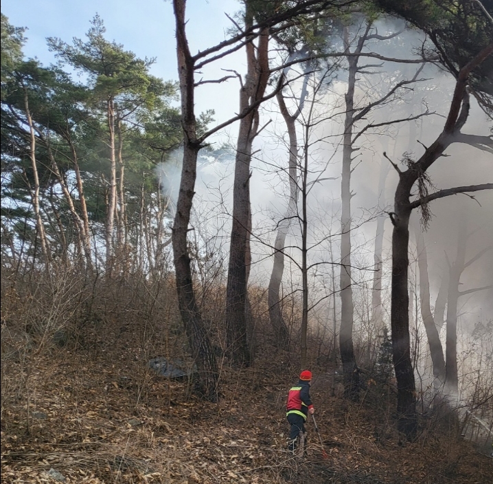 (사진제공=산림청)