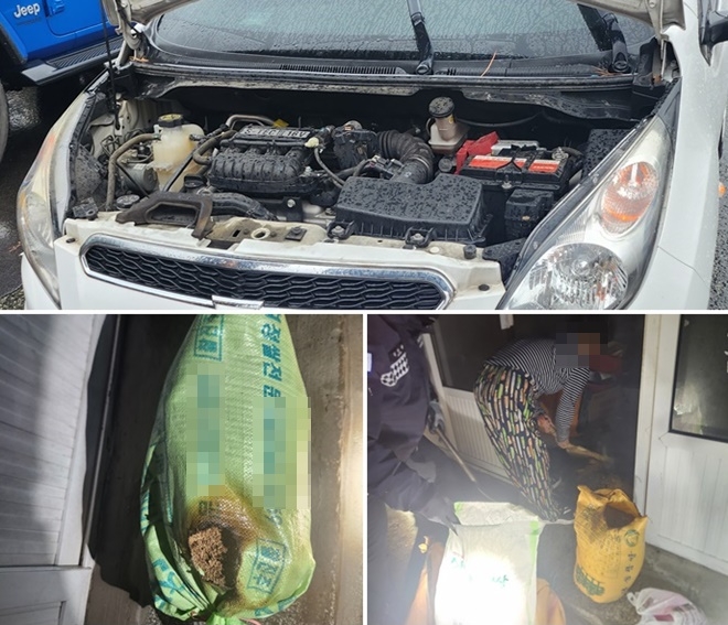 (사진제공=울산소방본부)