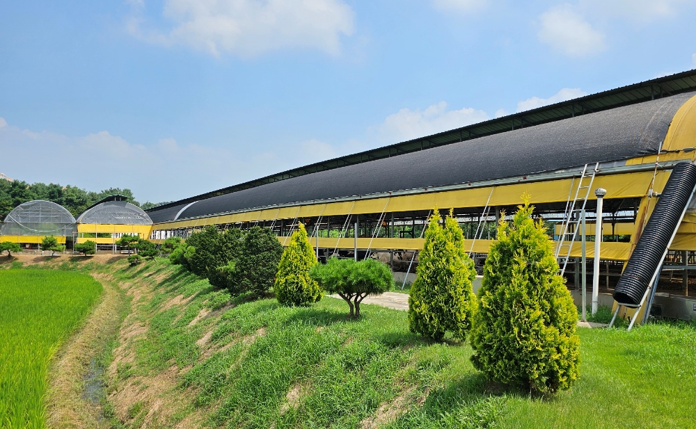 농협, 방취림 조성사업 추진