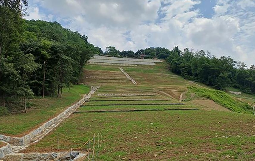 수정구 복정동 일대