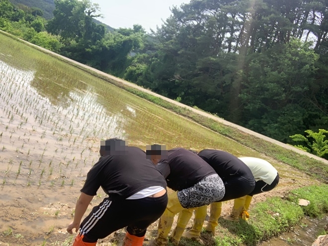 (사진제공=부산동부준법지원센터)