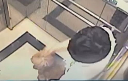 강아지 학대 장면.(사진=연합뉴스)