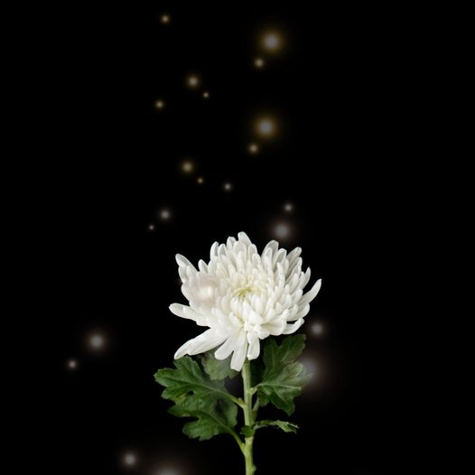 하윤수 부산교육감 페이스북