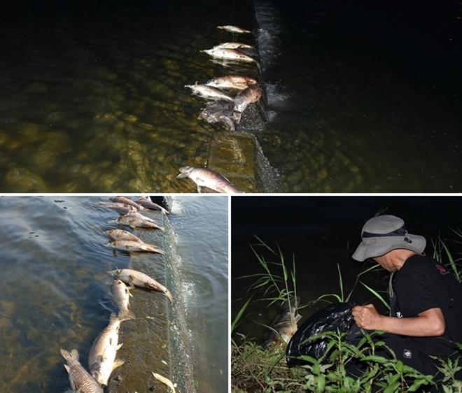 (사진제공=울산환경운동연합)