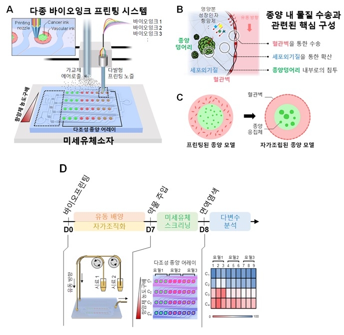 다양한 실험조건을 하나의 체외 세포배양 플랫폼에 구현하기 위한 바이오프린팅-랩온어칩 통합 기술과 이를 활용한 '랩온어칩 종양 모델'에서의 항암제 효능 평가 기술의 개략도. 사진=KAIST